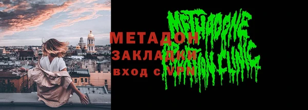 прущие грибы Вязьма