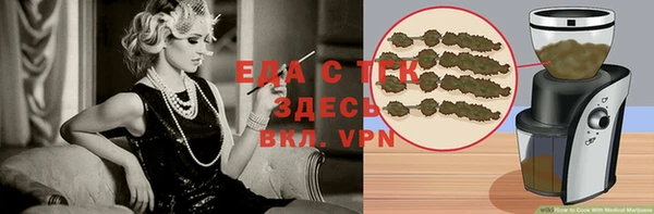 прущие грибы Вязьма