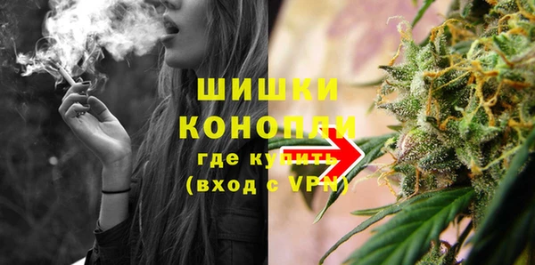 прущие грибы Вязьма