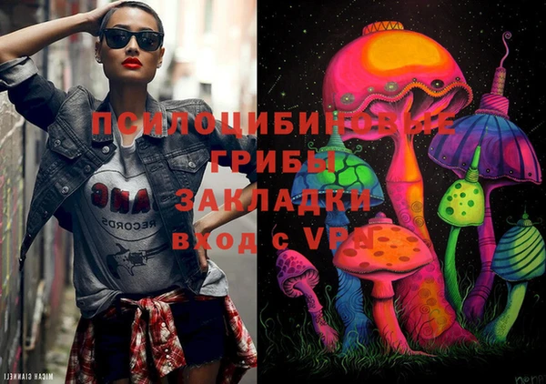 прущие грибы Вязьма