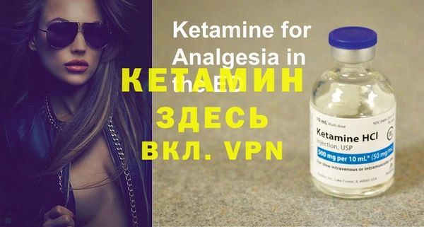 прущие грибы Вязьма