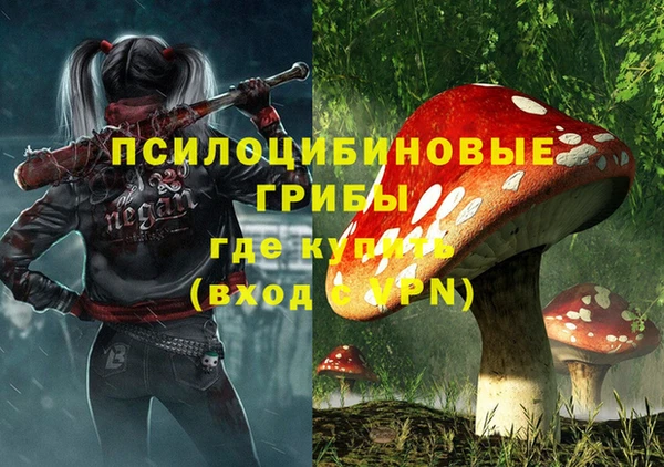 герыч Вяземский